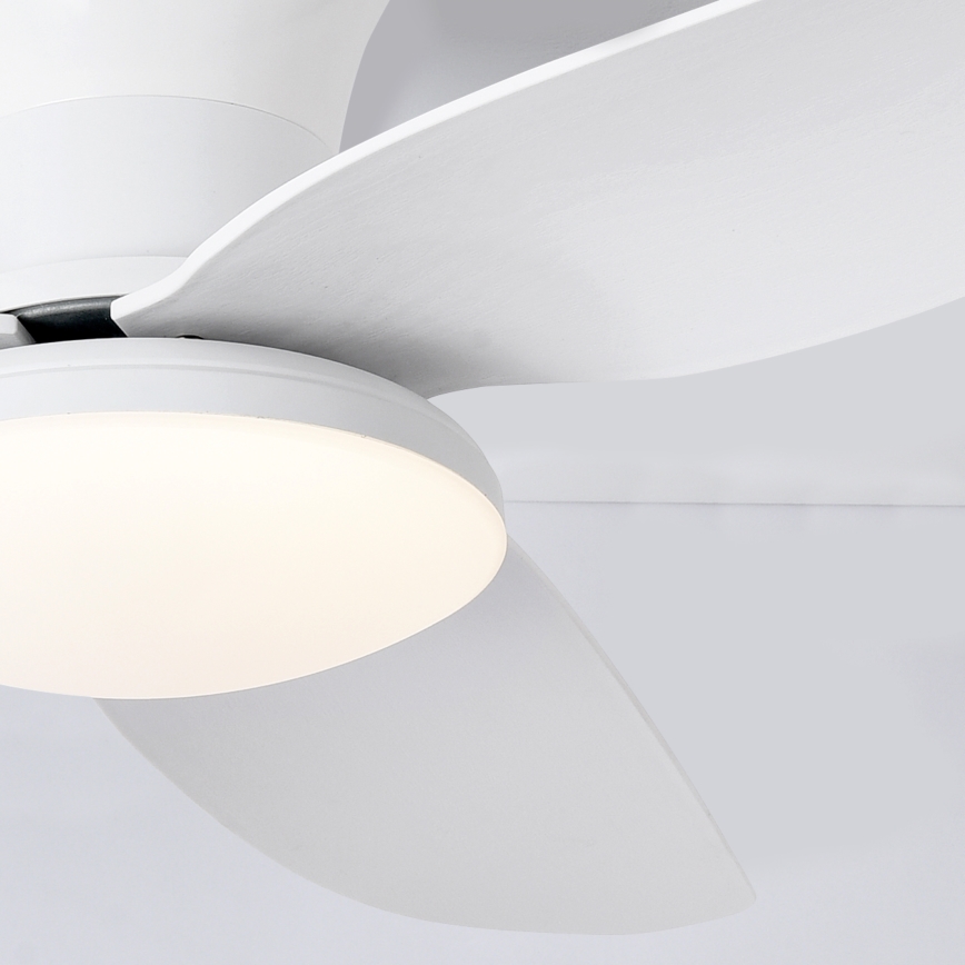 Brilagi - LED dimbare plafondventilator LED/30W/230V 3000-6500K wit + afstandsbediening