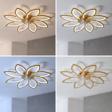 Brilagi - LED-dimbare plafondventilator LED/43W/230V 3000-6500K Ø 90 cm goudkleurig + afstandsbediening