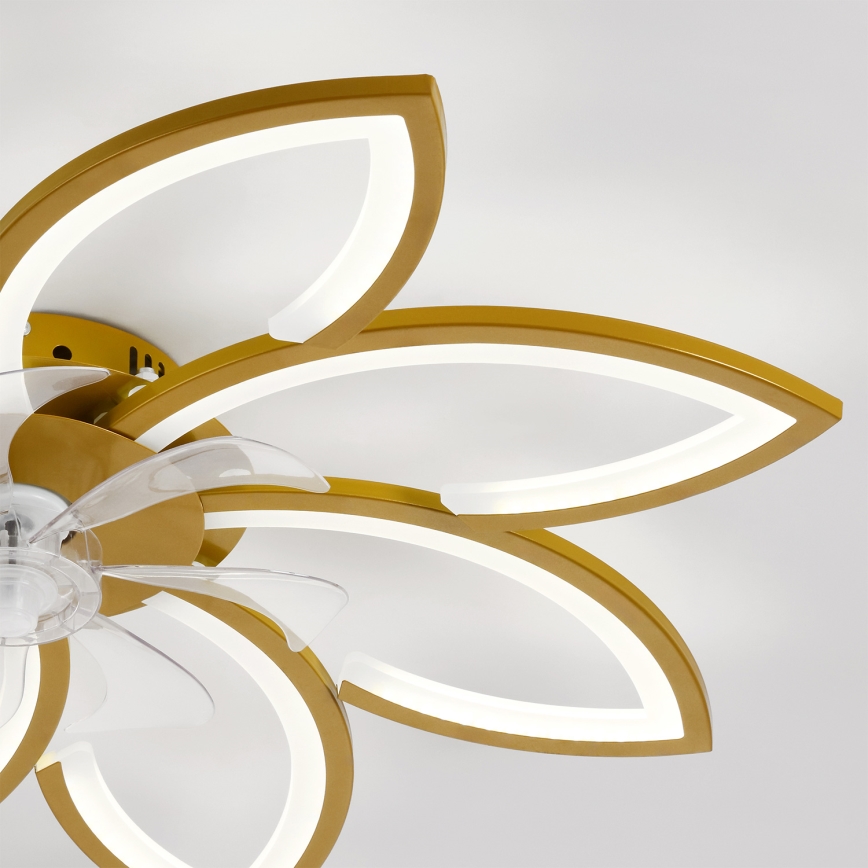 Brilagi - LED-dimbare plafondventilator LED/43W/230V 3000-6500K Ø 90 cm goudkleurig + afstandsbediening