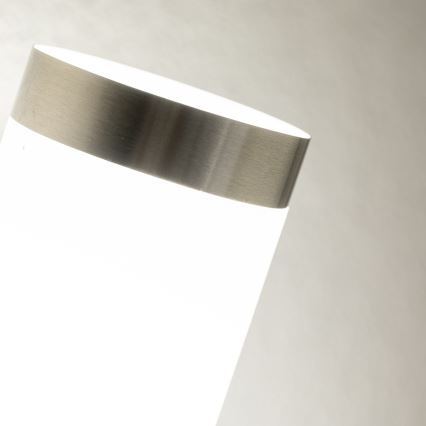 BRILAGI - Applique murale d'extérieur LED dimmable ELIA 1xE27/6W/230V 2700-6500K IP44 chrome mat