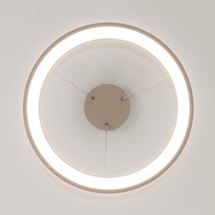 BRILAGI - Suspension LED dimmable sur câble FALCON SLIM LED/42W/230V 3000-6500K Ø 50 cm beige + télécommande