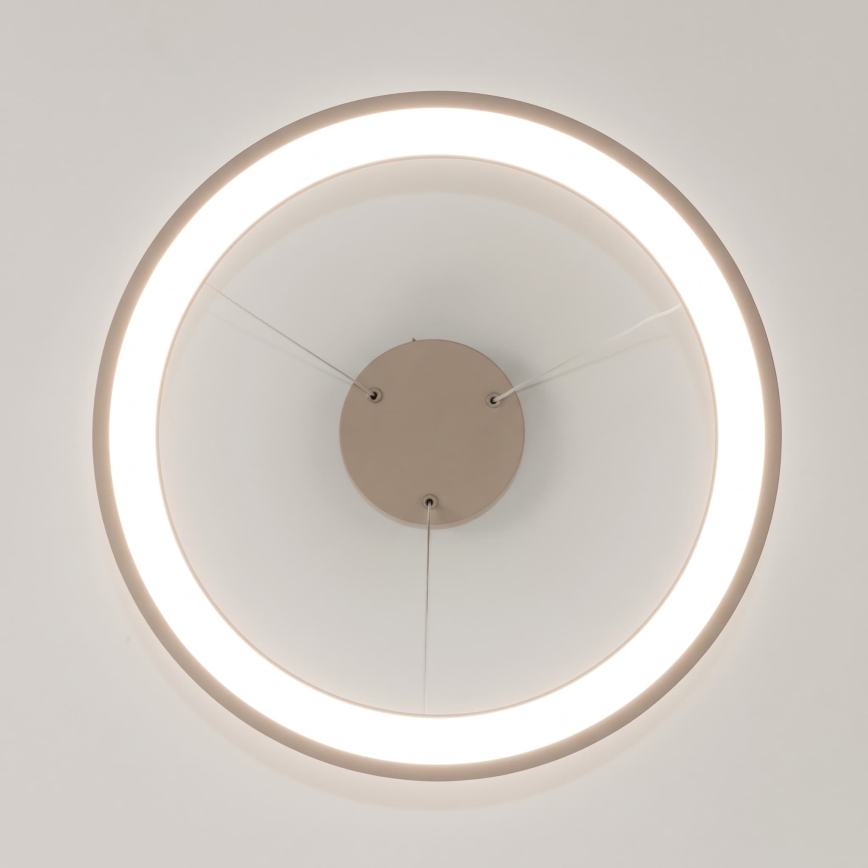 BRILAGI - Suspension LED dimmable sur câble FALCON SLIM LED/42W/230V 3000-6500K Ø 50 cm beige + télécommande
