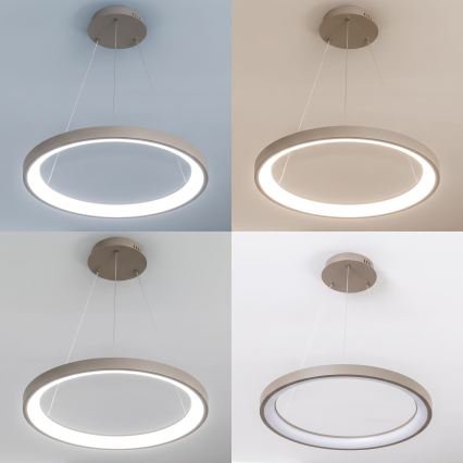 BRILAGI - Suspension LED dimmable sur câble FALCON SLIM LED/42W/230V 3000-6500K Ø 50 cm beige + télécommande