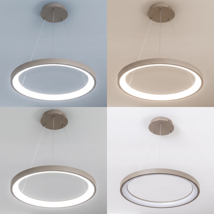 BRILAGI - Suspension LED dimmable sur câble FALCON SLIM LED/42W/230V 3000-6500K Ø 50 cm beige + télécommande