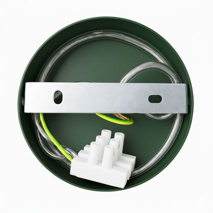 Brilagi - LED Hanglamp aan een koord FLAMENGO 1xE27/60W/230V groen