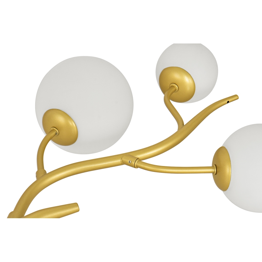 Brilagi - LED Hanglamp aan een koord MISTEL 6xG9/3W/230V goud/wit