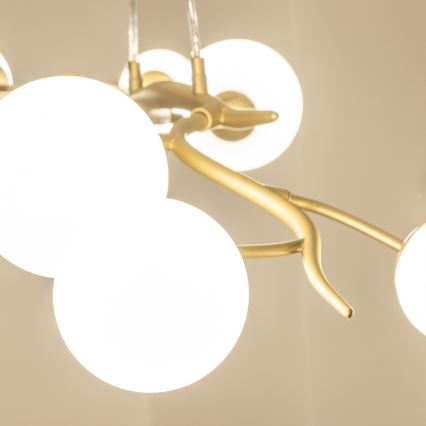 Brilagi - LED Hanglamp aan een koord MISTEL 6xG9/3W/230V goud/wit