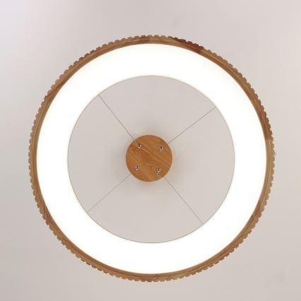 Brilagi - LED-hanglamp met kabel FALCON WOOD MODERN LED/40W/230V 3000/4000/6000K Ø 60 cm hout