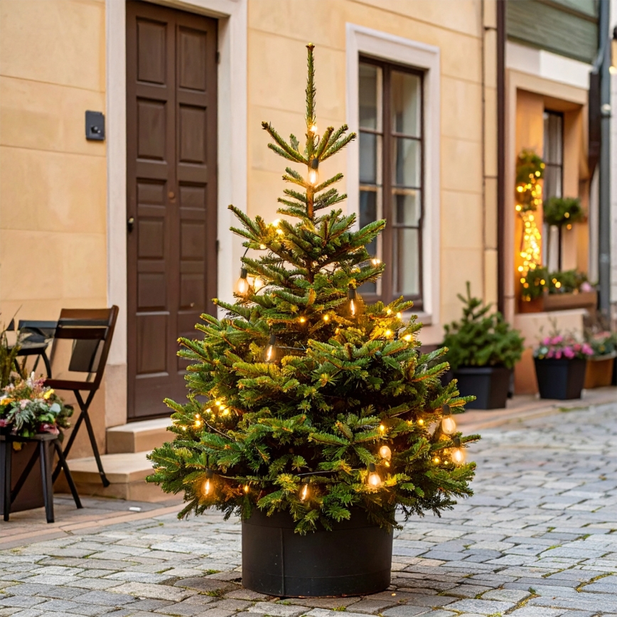 BRILAGI - LED kerstguirlande voor buiten 10xLED/3xAA 3,2 m IP44 warm wit