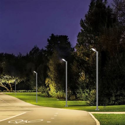 Brilagi - LED Lampe de rue extérieure URBANLIGHT LED/50W/230V gris IP65