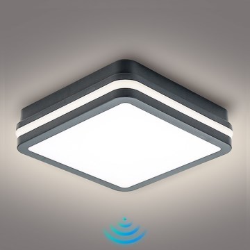 Brilagi - LED luminaire d'extérieur avec détecteur BENE LED/18W/230V 22x22 cm anthracite IP54