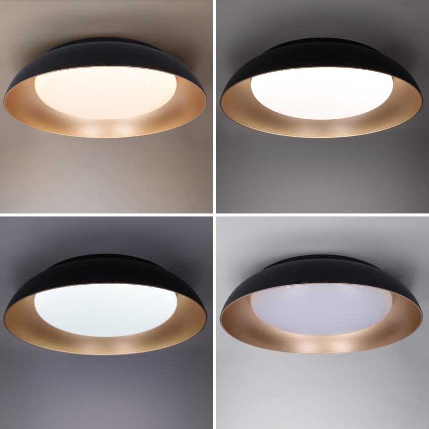 Brilagi - Plafonnier LED dimmable ALVA LED/48W/230V 3000-6500K Ø 51 cm noir + télécommande
