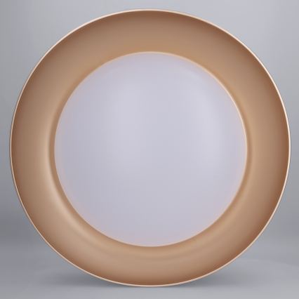 Brilagi - Plafonnier LED dimmable ALVA LED/48W/230V 3000-6500K Ø 51 cm noir + télécommande