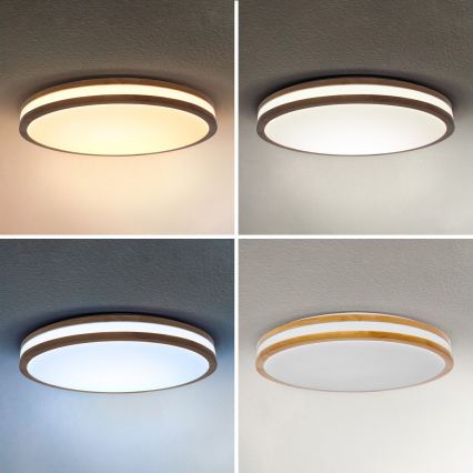 Brilagi - Plafonnier LED dimmable MOLINA LED/72W/230V 3000-6500K chêne diam. 78 cm + télécommande