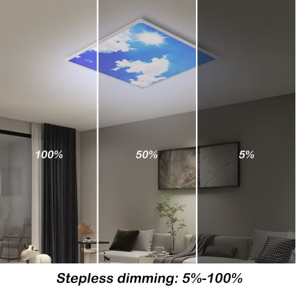 Brilagi - Plafonnier LED dimmable SLIMFRAME SKY LED/58W/230V 60x60 cm 3000-6000K argent/bleu + télécommande