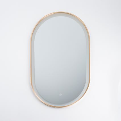 Brilagi - Miroir de salle de bain LED ERBA LED/25W/230V 50x80 cm doré IP44 IRC 90 dimmable + CCT
