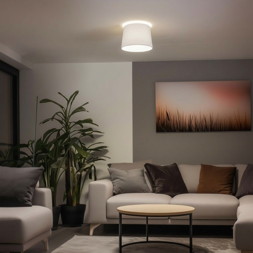 Brilagi - LED opbouwkroonluchter CERIA 1xE27/40W/230V Ø 30 cm wit