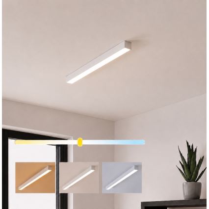 Brilagi - LED opbouw-plafondlamp FULLDAY LED/10/15/20W/230V 2700/4000/6000K 60 cm wit