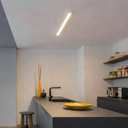 Brilagi - LED opbouw-plafondlamp FULLDAY LED/10/15/20W/230V 2700/4000/6000K 60 cm wit