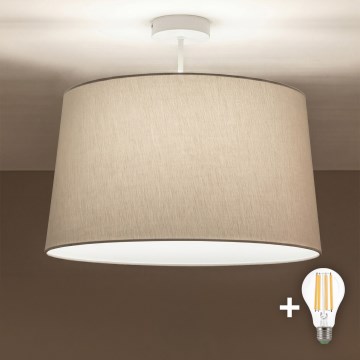 Brilagi - LED-opbouwplafondlamp CERIA 1xE27/60W/230V Ø 45 cm wit/grijs