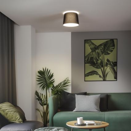 Brilagi - LED opbouwplafonnière CERIA 1x E27/40W/230V Ø 30 cm zwart