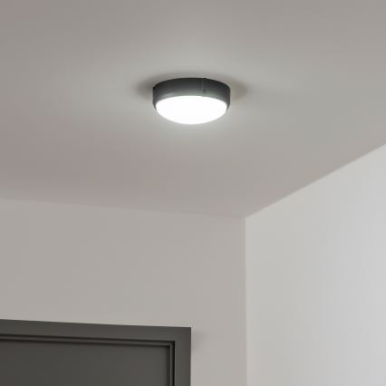Brilagi - LED Plafondarmatuur industrieverlichting SIMA LED/12W/230V IP65 zwart