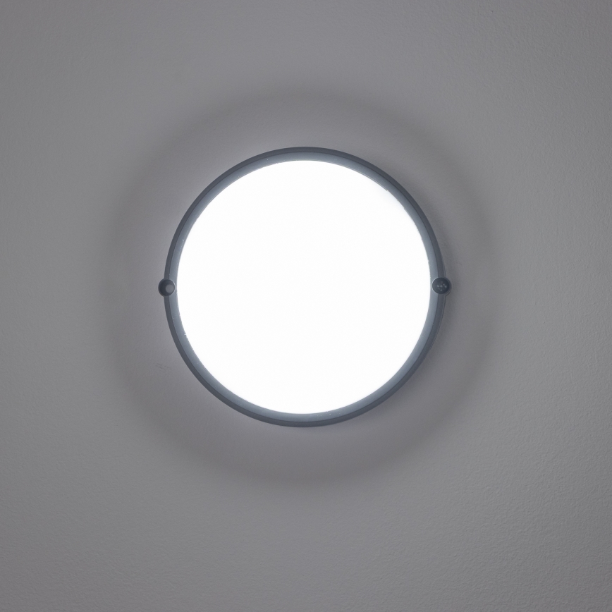 Brilagi - LED Plafondarmatuur industrieverlichting SIMA LED/12W/230V IP65 zwart