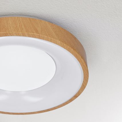Brilagi - LED Plafondlamp DORIA LED/24W/230V