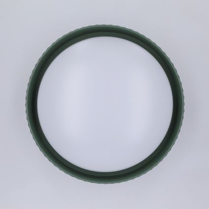 Brilagi - LED-plafondlamp LUCIA LED/24W/230V Ø 31 cm groen