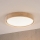 Brilagi - LED plafondlamp MANAROLA PLAIN LED/24W/230V 3000K Ø 41 cm eik