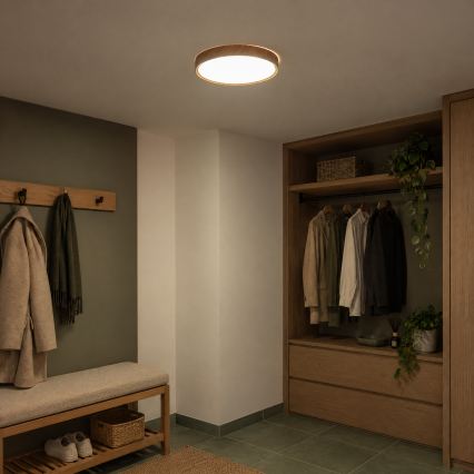 BRILAGI - LED plafondlamp NATURA LED/24W/230V 4000K Ø 38,3 cm