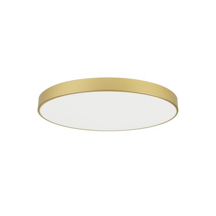 Brilagi - LED plafondlamp POOL LED/100W/230V 3000/4000/6000K Ø 80 cm goudkleurig