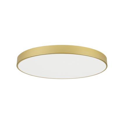 Brilagi - LED plafondlamp POOL LED/128W/230V 3000/4000/6000K Ø 100 cm goudkleurig