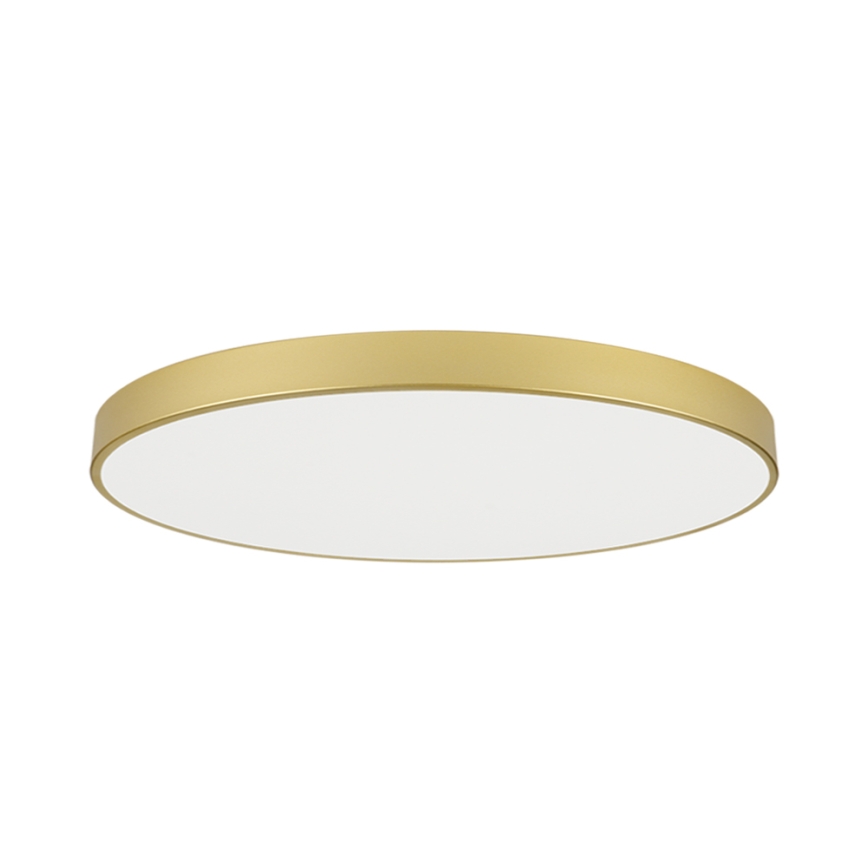 Brilagi - LED plafondlamp POOL LED/180W/230V 3000/4500/6000K Ø 120 cm goudkleurig