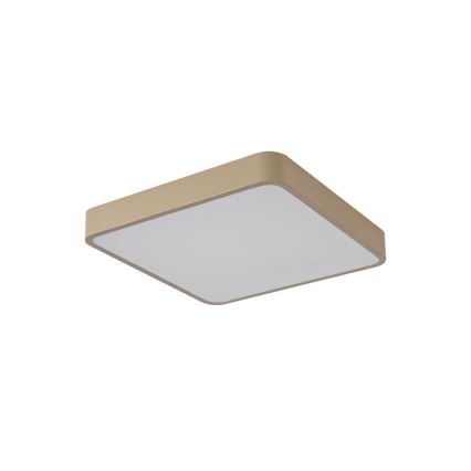 Brilagi - LED-plafondlamp POOL LED/48W/230V 3000/4000/6000K 50x50 cm beige