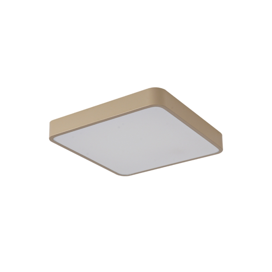 Brilagi - LED-plafondlamp POOL LED/48W/230V 3000/4000/6000K 50x50 cm beige