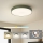 Brilagi - LED-plafondlamp POOL LED/48W/230V 3000/4000/6000K Ø 40 cm groen