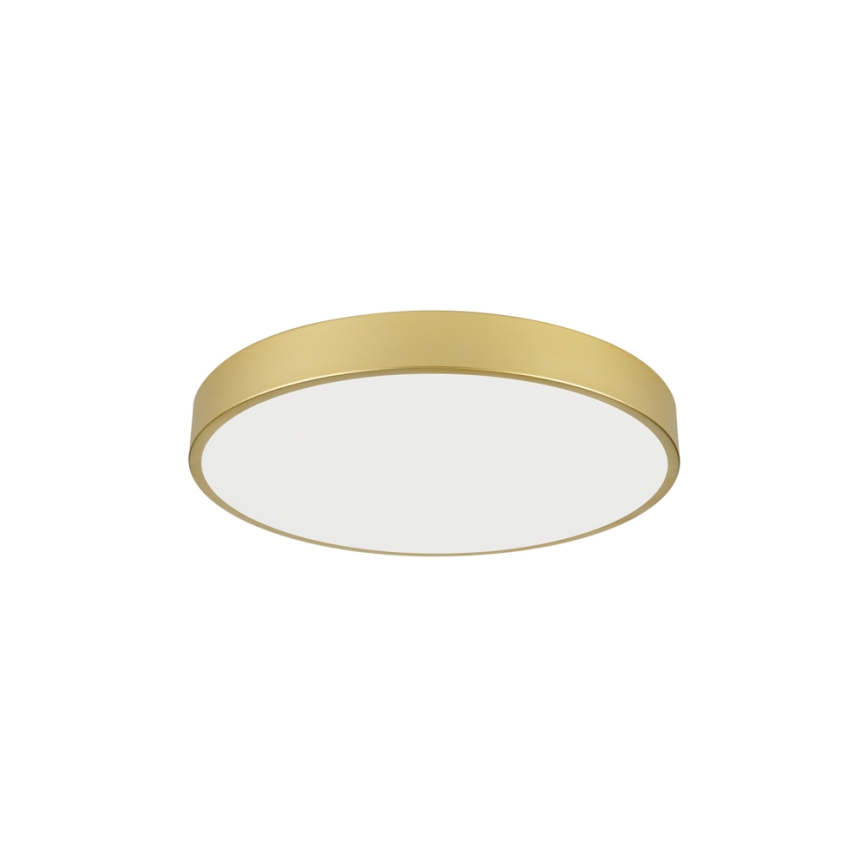 Brilagi - LED plafondlamp POOL LED/60W/230V 3000/4000/6000K Ø 60 cm goudkleurig