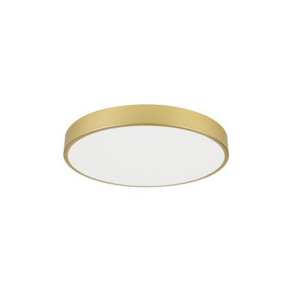 Brilagi - LED-plafondlamp POOL LED/60W/230V 3000/4500/6000K Ø 60 cm goud