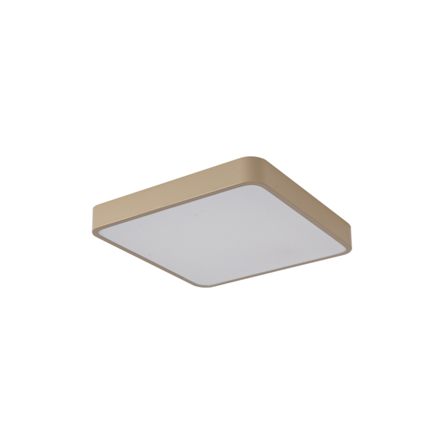 BRILAGI - LED plafondlamp POOL SQUARE LED/36W/230V 3000/4000/6000K 40x40 cm beige