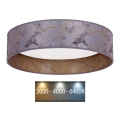 Brilagi - LED Plafondlamp VELVET LED/24W/230V Ø 40 cm 3000/4000/6400K grijs/goud