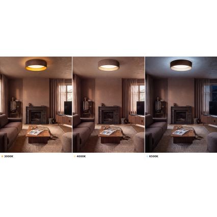 Brilagi - LED plafondlamp VELVET VARI LED/24W/230V 3000/4000/6500K diam. 45 cm bruin/goud