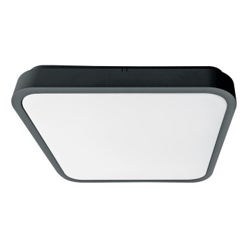 Brilagi - LED plafondlamp voor badkamer met sensor ZENNA LED/24W/230V 34,5x34,5 cm IP44 antraciet + afstandsbediening