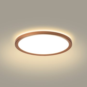 Brilagi - LED plafondlamp voor badkamer ULTRA SLIM LED/12W/230V Ø 22,5 cm roségoud IP54