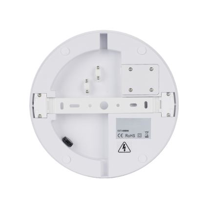 Brilagi - LED plafondlamp voor buiten BENE LED/24W/230V Ø 26 cm wit IP54