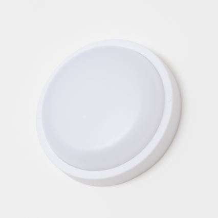 Brilagi - LED Plafondlamp voor buiten LED/13W/230V diameter 17 cm IP54
