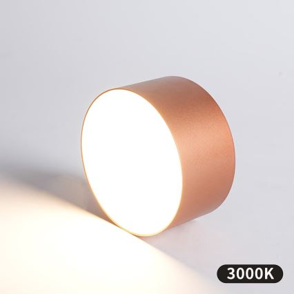 BRILAGI - LED plafondlamp voor de badkamer FORIS LED/14W/230V Ø 12 cm brons IP44