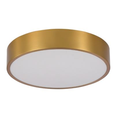 Brilagi - LED-plafondlamp voor badkamer POOL LED/24W/230V 3000/4000/5500K Ø 30 cm IP54 brons