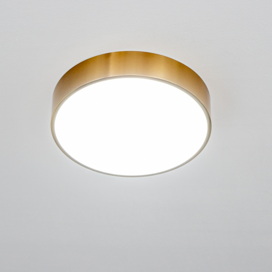 Brilagi - LED-plafondlamp voor badkamer POOL LED/24W/230V 3000/4000/5500K Ø 30 cm IP54 brons