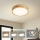 Brilagi - LED plafondlamp WOODLINE LED/24W/230V 3000/4000/6000K eiken Ø 30 cm